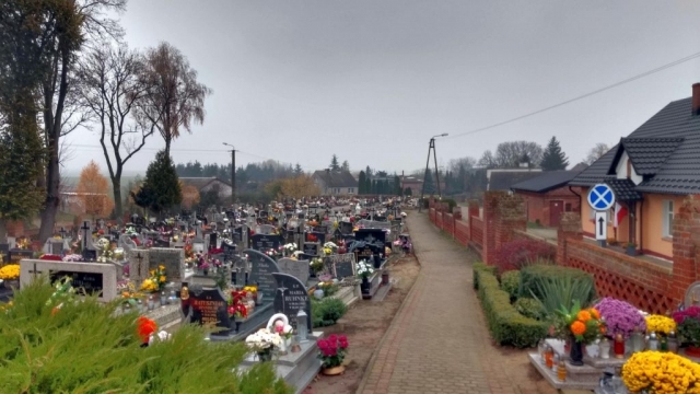 IMG_20201114_110232128_HDR